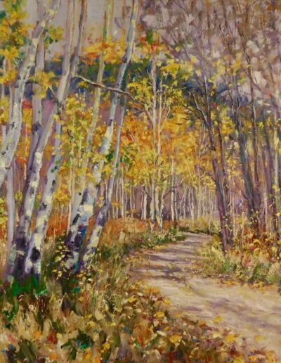 Aspen Glory II