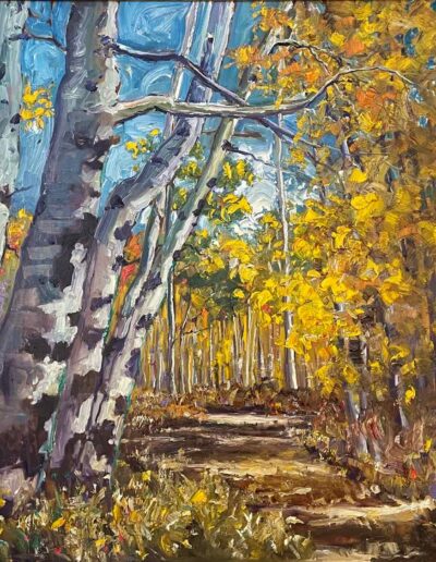 Rocky Mtn Aspen